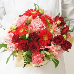 ピンクレッド系